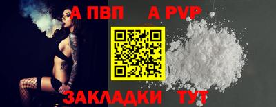 бошки Кингисепп