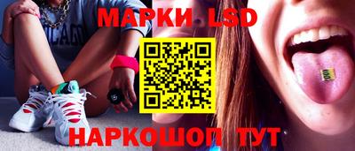 Альфа ПВП Кандалакша